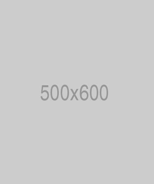divi-craftsman-theme-img-14